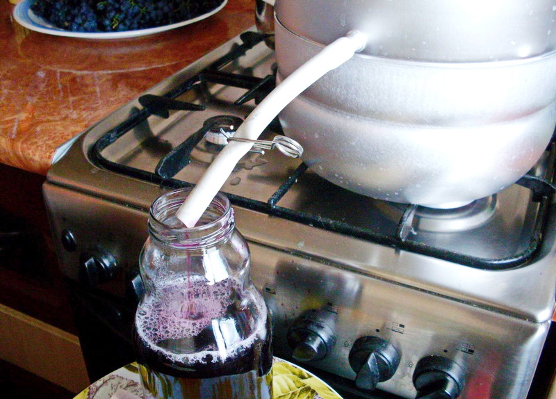 Как сделать виноградный сок в домашних условиях