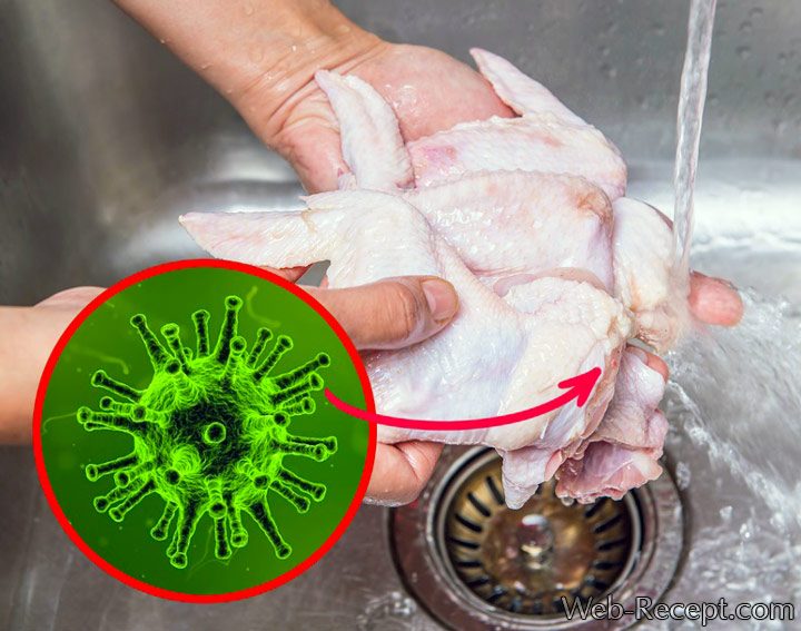 Почему курицу нельзя мыть под водой